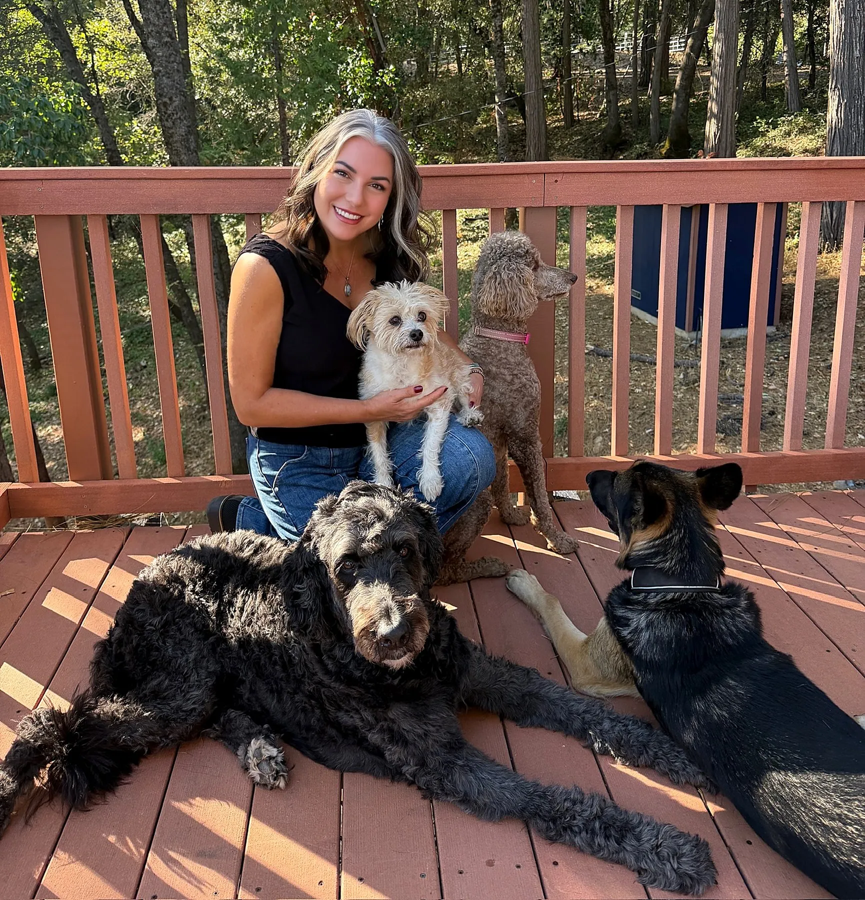 A pet parent sitting on a wooden deck with five dogs of different breeds around her